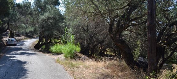 Hotel in Corfu, Greece 9150m², Nr. 5480 17