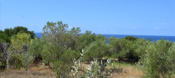  فندق في Corfu, Greece 9150متر مربع رقم 5480 23