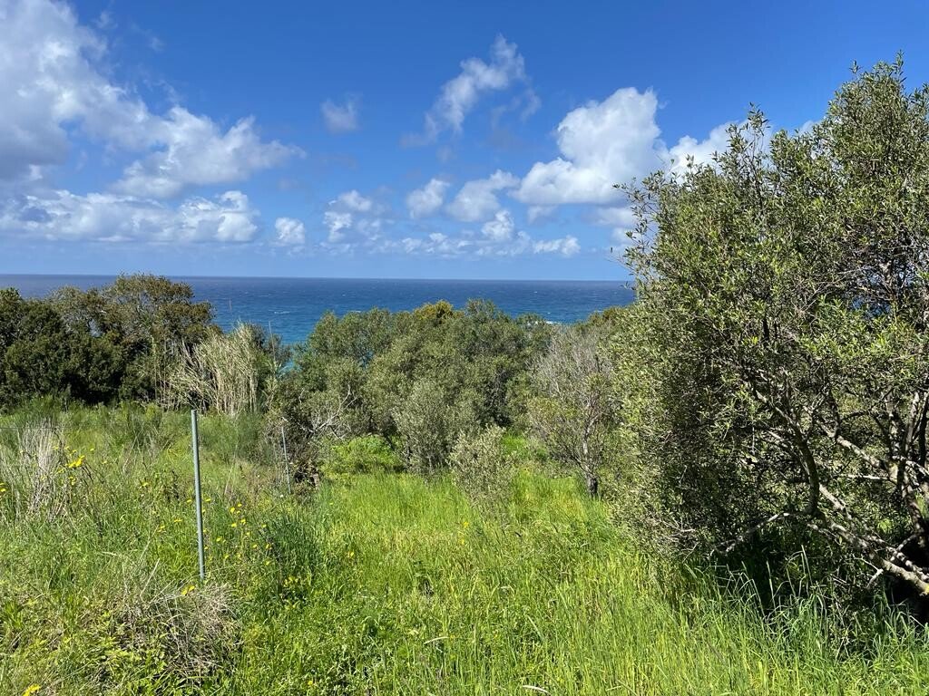 Hotel in Corfu, Greece 9150m², Nr. 5480