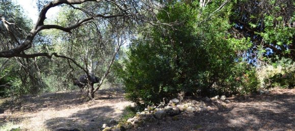 Hotel in Corfu, Greece 9150m², Nr. 5480 4