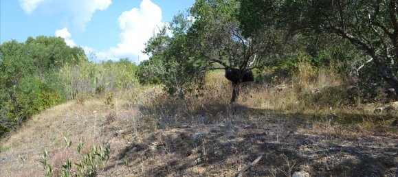 Hotel in Corfu, Greece 9150m², Nr. 5480 10