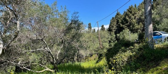  فندق في Corfu, Greece 9150متر مربع رقم 5480 18