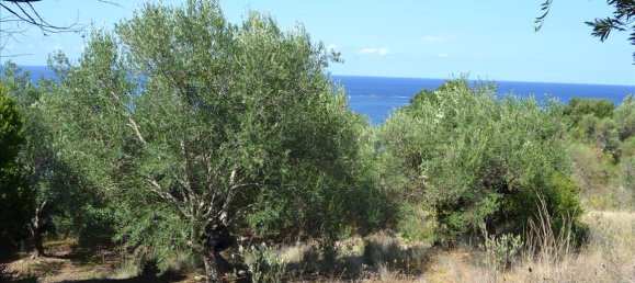  فندق في Corfu, Greece 9150متر مربع رقم 5480 8