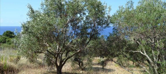 Hotel in Corfu, Greece 9150m², Nr. 5480 14