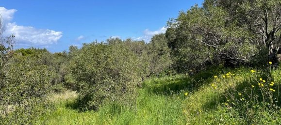 Hotel in Corfu, Greece 9150m², Nr. 5480 15