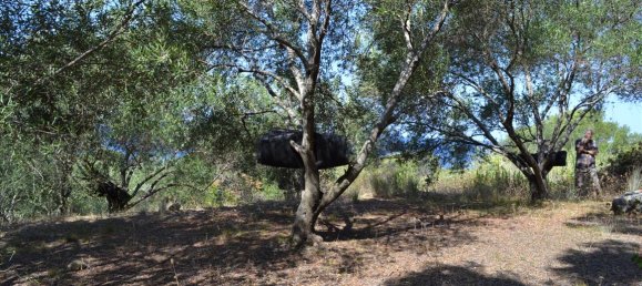 Hotel in Corfu, Greece 9150m², Nr. 5480 6