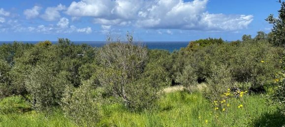 Hotel in Corfu, Greece 9150m², Nr. 5480 20