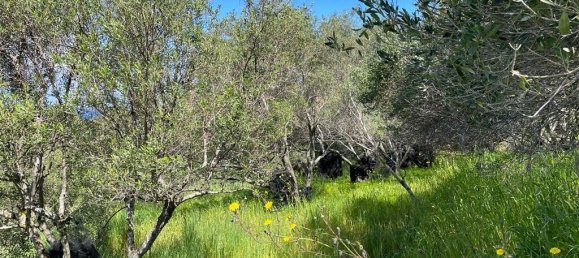 Hotel in Corfu, Greece 9150m², Nr. 5480 26