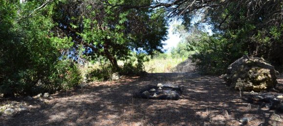 Hotel in Corfu, Greece 9150m², Nr. 5480 5