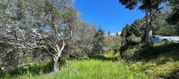 Hotel in Corfu, Greece 9150m², Nr. 5480 27