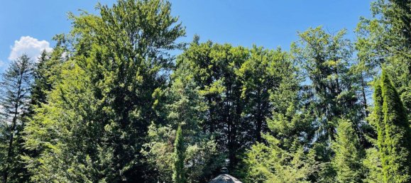 5 rooms Land in St. Jakob im Rosental, Austria No. 193268 5