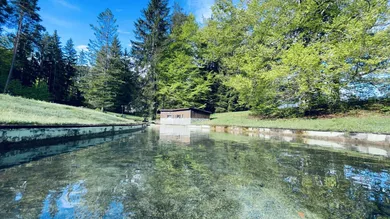 5 rooms Land in St. Jakob im Rosental, Austria No. 193268