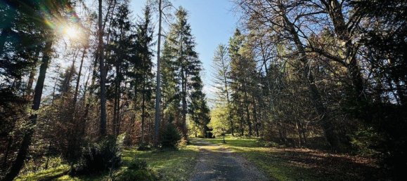 5 rooms Land in St. Jakob im Rosental, Austria No. 193268 7