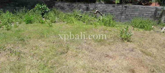 Terrain à Legian, Indonesia 3600m² No. 4173 4