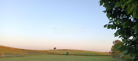 قطعة أرض في Campo Maior, Portugal 6500متر مربع رقم 86885 14