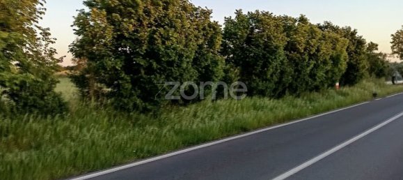 قطعة أرض في Campo Maior, Portugal 6500متر مربع رقم 86885 15