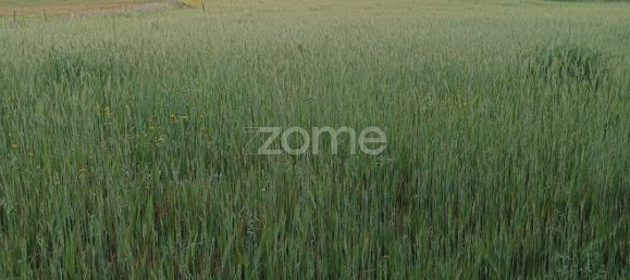 قطعة أرض في Campo Maior, Portugal 6500متر مربع رقم 86885 17