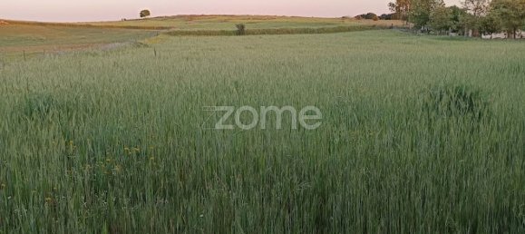 قطعة أرض في Campo Maior, Portugal 6500متر مربع رقم 86885 20