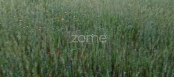 قطعة أرض في Campo Maior, Portugal 6500متر مربع رقم 86885 18