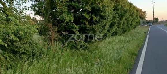 قطعة أرض في Campo Maior, Portugal 6500متر مربع رقم 86885 16