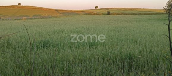 قطعة أرض في Campo Maior, Portugal 6500متر مربع رقم 86885 3