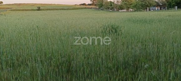 قطعة أرض في Campo Maior, Portugal 6500متر مربع رقم 86885 19