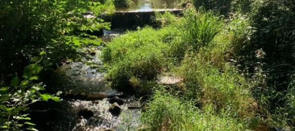 Casa de 1 dormitorio en Moosch, France No. 85692 14