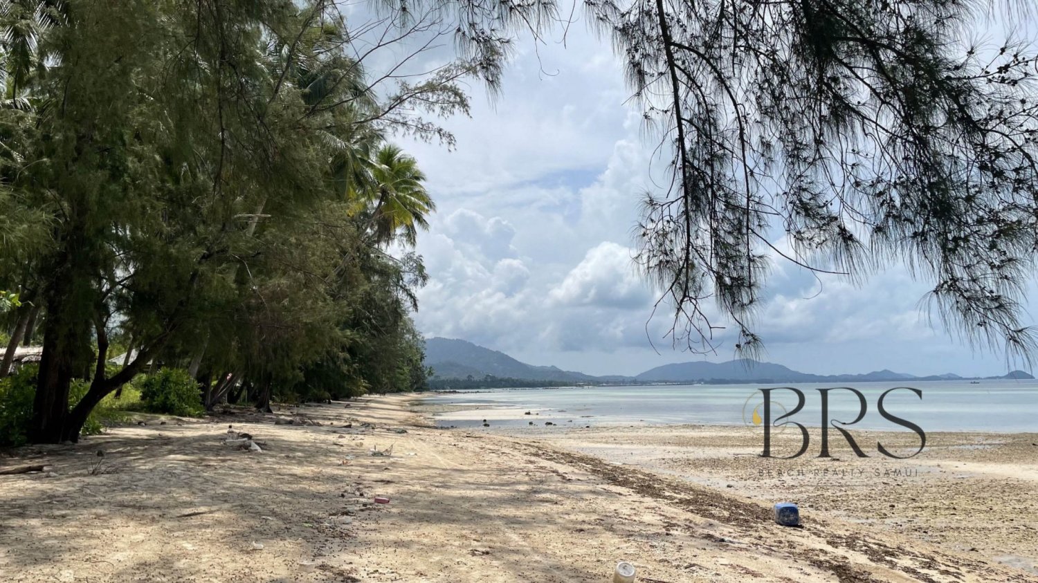  Commercial property in Ko Samui, Thailand No. 5728