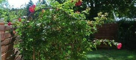 Apartamento de 2 habitaciónes en Sieghartskirchen, Austria No. 232566 5