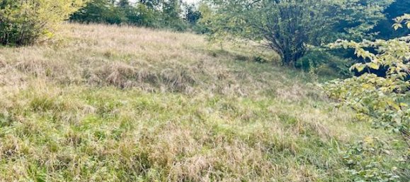 Casa de 2 dormitorios en Erzgebirgskreis, Germany No. 26865 6