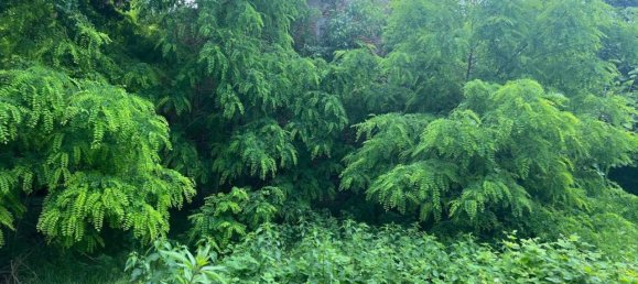 5-salle Maison à Crevalcore, Italy No. 29871 20