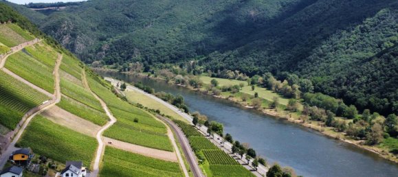 8 غرف نوم تاون هاوس في Cochem-Zell, Germany رقم 291238 5