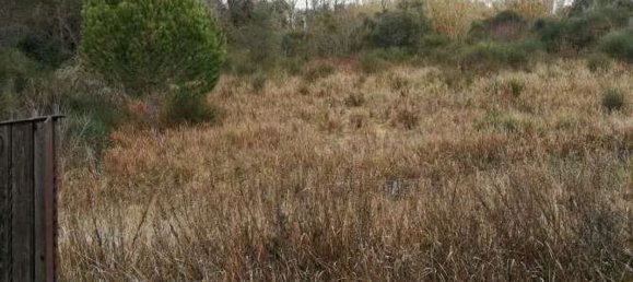 Apartamento de 3 divisões em Fiano Romano, Italy N.º 197726 4