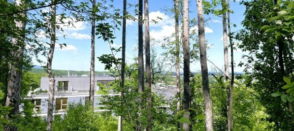 3-salle Duplex à Enzesfeld-Lindabrunn, Austria No. 101410 8