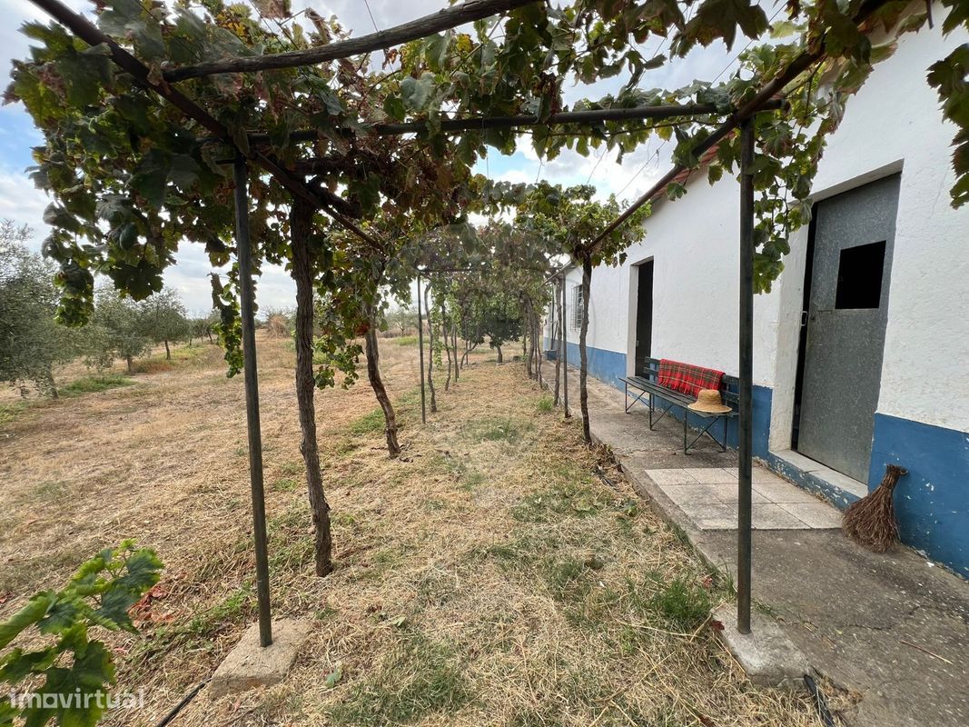 1 Schlafzimmer Haus in Sousel, Portugal, Nr. 70623