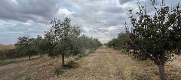 1 Schlafzimmer Haus in Sousel, Portugal, Nr. 70623 21