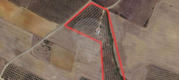 1 Schlafzimmer Haus in Sousel, Portugal, Nr. 70623 32