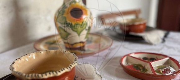 1 Schlafzimmer Haus in Sousel, Portugal, Nr. 70623 6