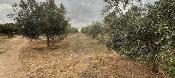 1 Schlafzimmer Haus in Sousel, Portugal, Nr. 70623 22