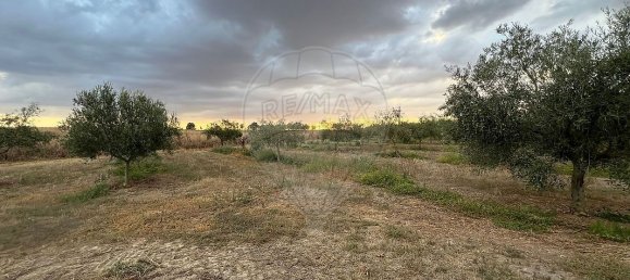 1 Schlafzimmer Haus in Sousel, Portugal, Nr. 70623 25