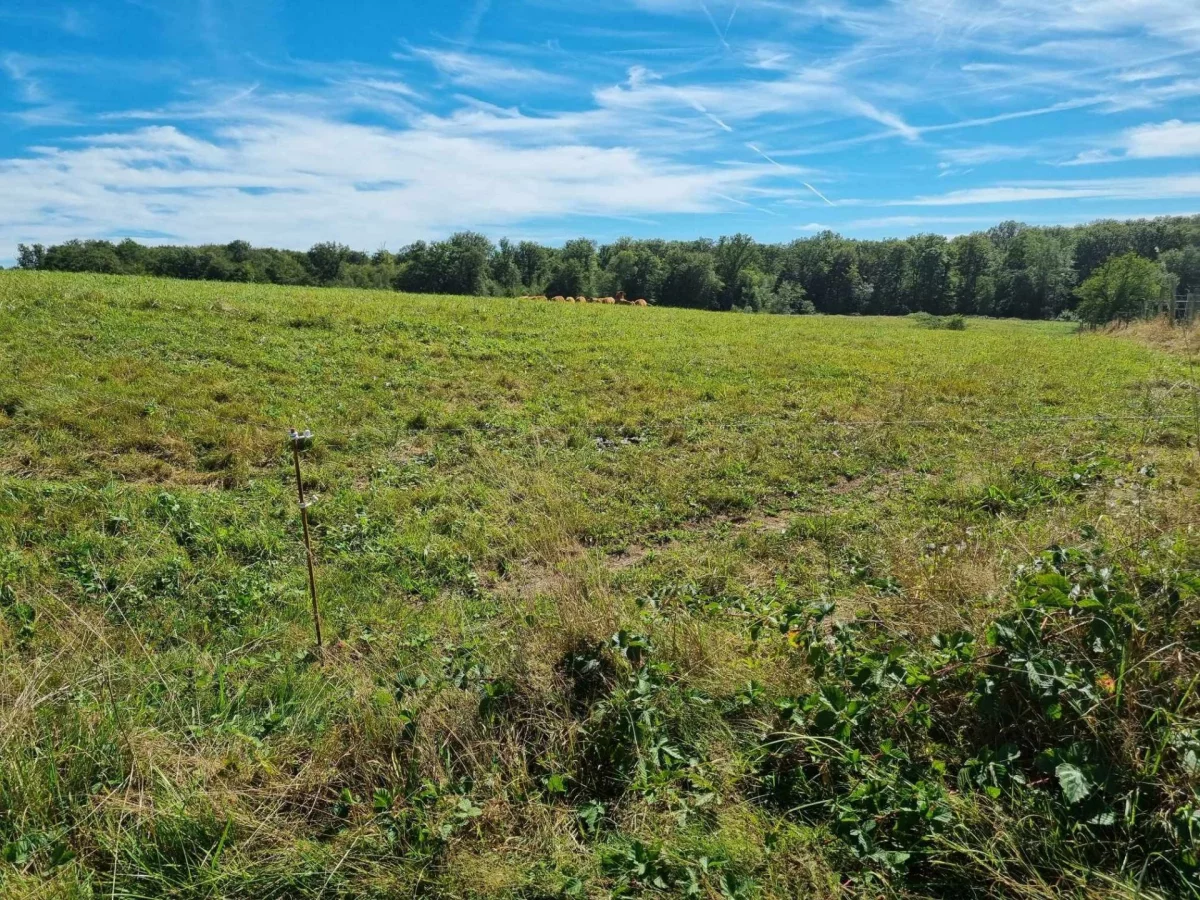 1200m² Land in Oppenans, France No. 103751