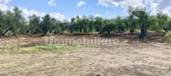 6 bedrooms House in Guardistallo, Italy No. 237034 48