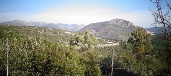 2 bedrooms Commercial property for sale in Chios, North Aegean, Of the Aegean, Greece № 4176 6