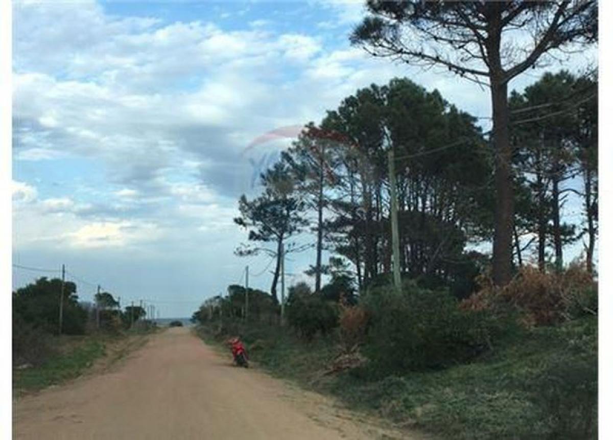  Land in Maldonado, Uruguay No. 16066