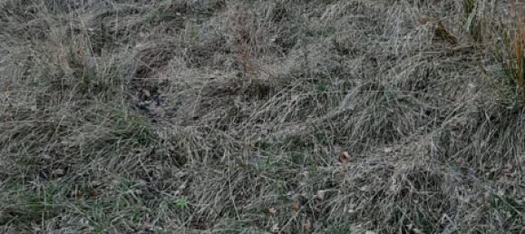 Studio à Livo, Italy No. 153138 3