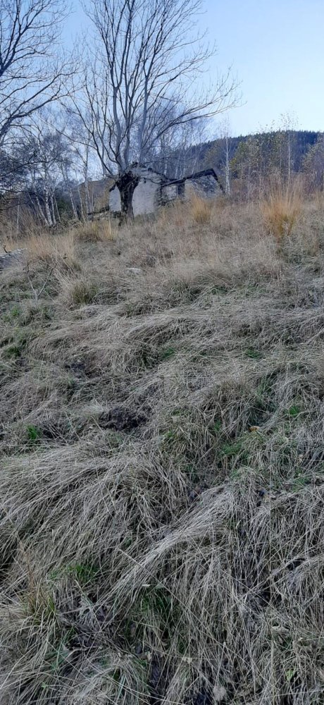 Studio à Livo, Italy No. 153138