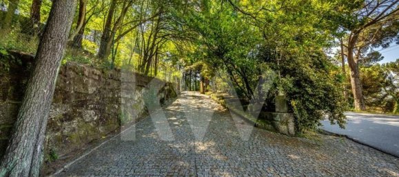 6 bedrooms House in Marco de Canaveses, Portugal No. 37813 20