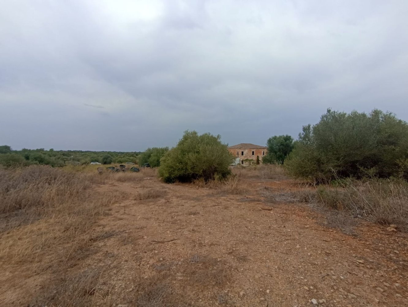  Land in Felanitx, Spain No. 204769