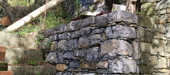 Terreno en Monterosso al Mare, Italy 3500 m² No. 295038 4