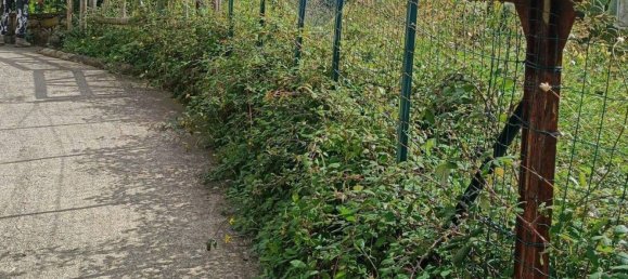 Terreno en Monterosso al Mare, Italy 3500 m² No. 295038 6